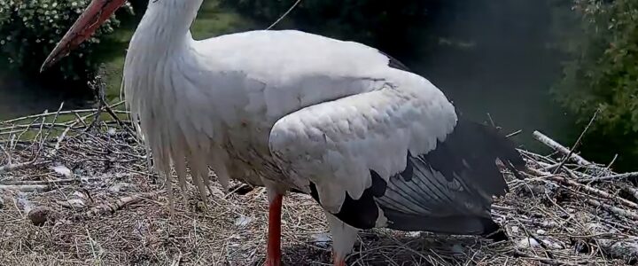 Hunter ist erlöst und Blick nach vorne